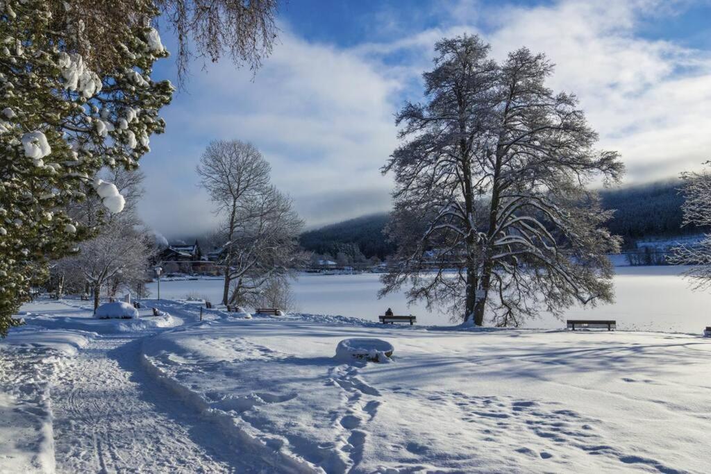 Waldloft Titisee Exterior foto